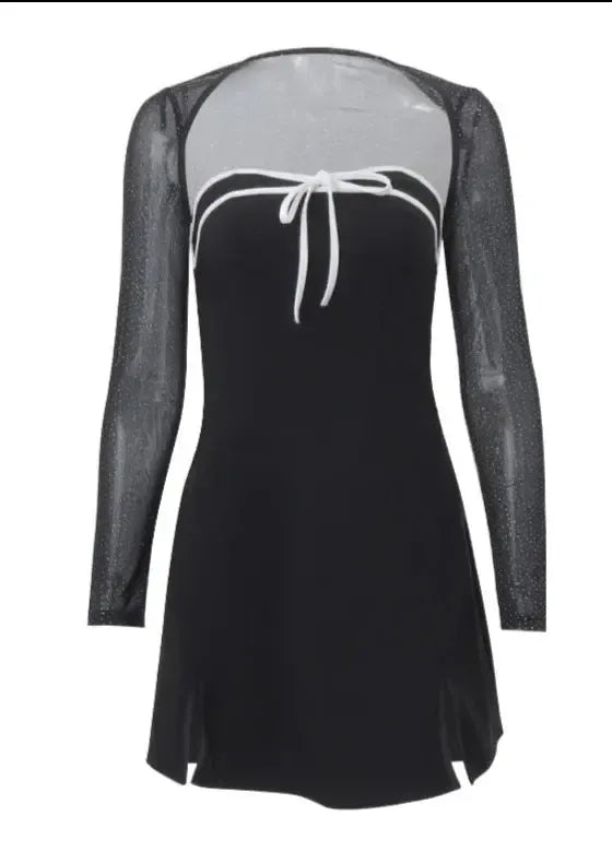 Mesh Sheer Long Sleeve Dress