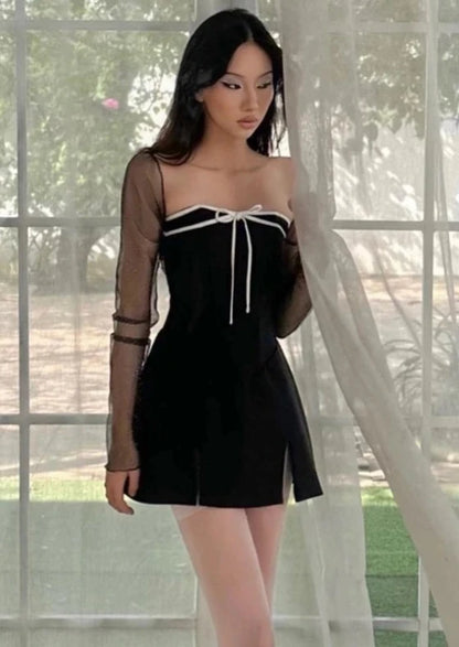 Mesh Sheer Long Sleeve Dress