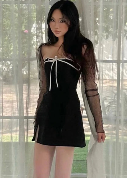 Mesh Sheer Long Sleeve Dress