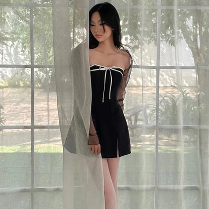 Mesh Sheer Long Sleeve Dress