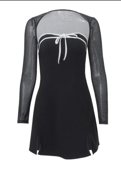 Mesh Sheer Long Sleeve Dress